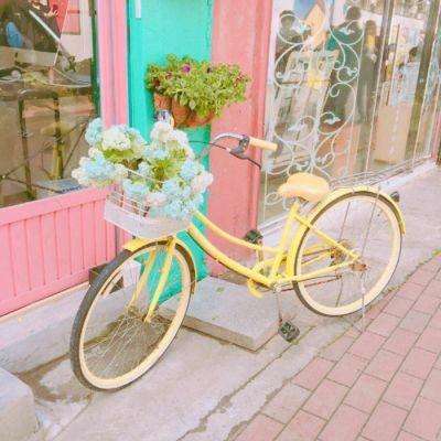 乐鱼官方手机app下载