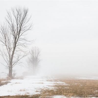 星空综合体育下载