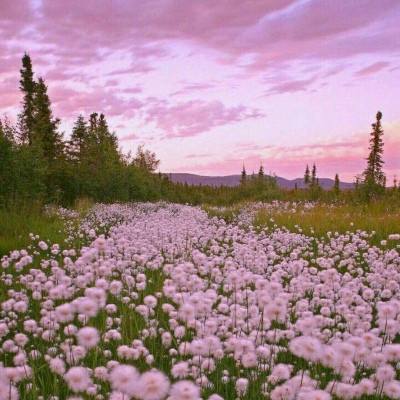 购彩中心welcome入口