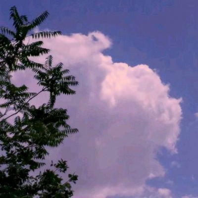 南宫体育app下载手机app下载