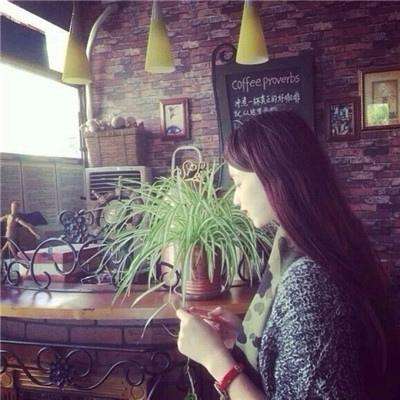 KOKapp手机app下载